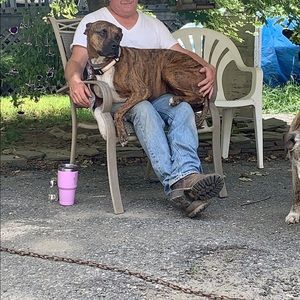 Meet your Posher, Daryl